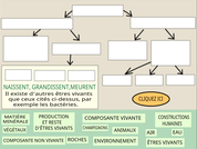 element-environnement.png