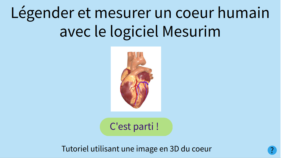 vignette-dessin-coeur.png