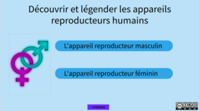 appareil-reproducteur2.png