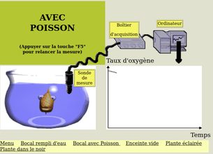 taux-oxy.png