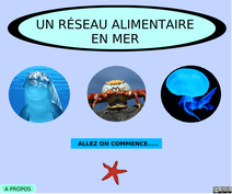 reseau-vignette2.png