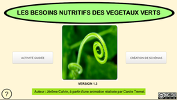 vegetaux-verts-1-3.png
