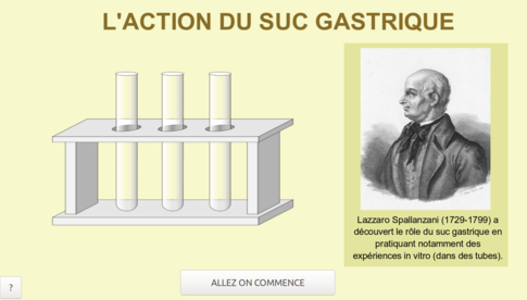 vignette-suc-gastrique-2-0.png