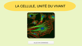 vignette_cellule.png