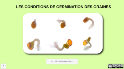 vignette_germination.png