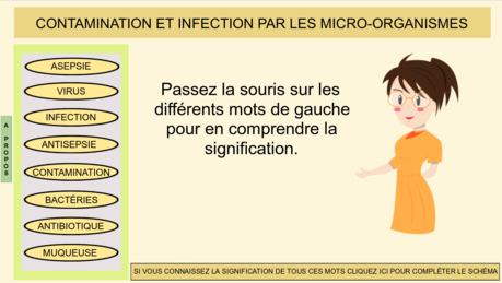 vignette-contamination-html5.png