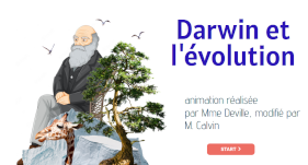 vignette-darwin2.png