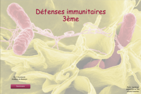 vignette-defenses-immunitaires.png