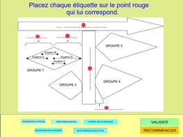 vignette-dynamique-population.png