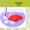 poisson.png