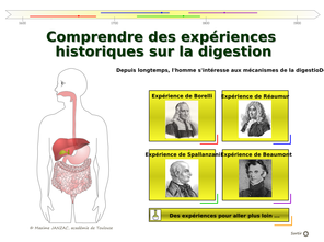 vignette-expeerience-digestion.png