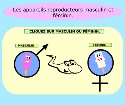 vignette-male-femelle.png