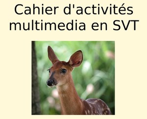 cahier.jpg